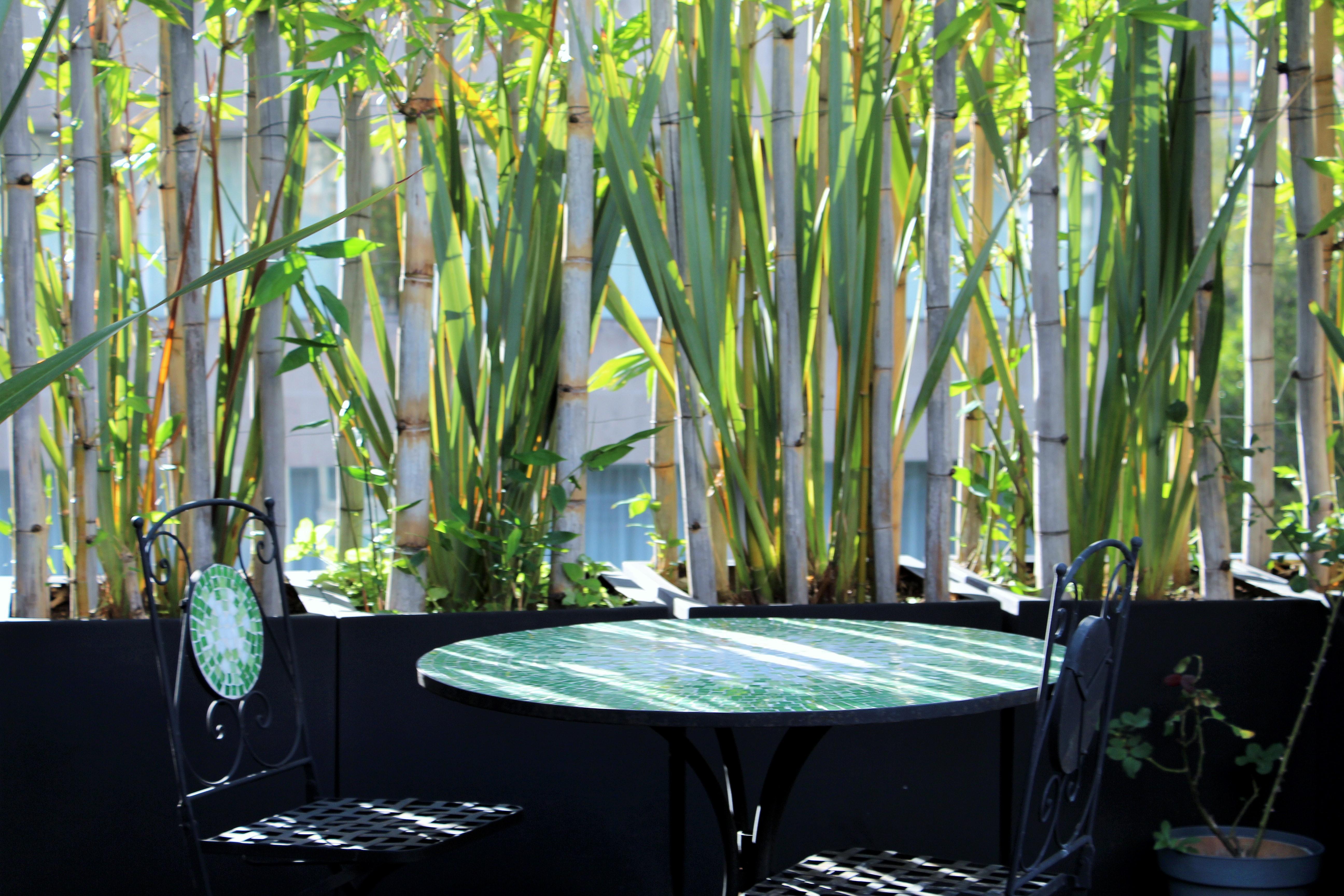 מקסיקו סיטי Residence L' Heritage Hipolito Taine By Bluebay מראה חיצוני תמונה